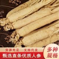 干人參長白山生曬參全須白參整支原皮邊條參選貨整支規(guī)格齊全500g