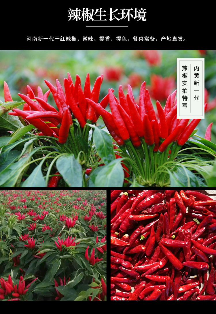 河南新一代-辣椒詳情頁_03