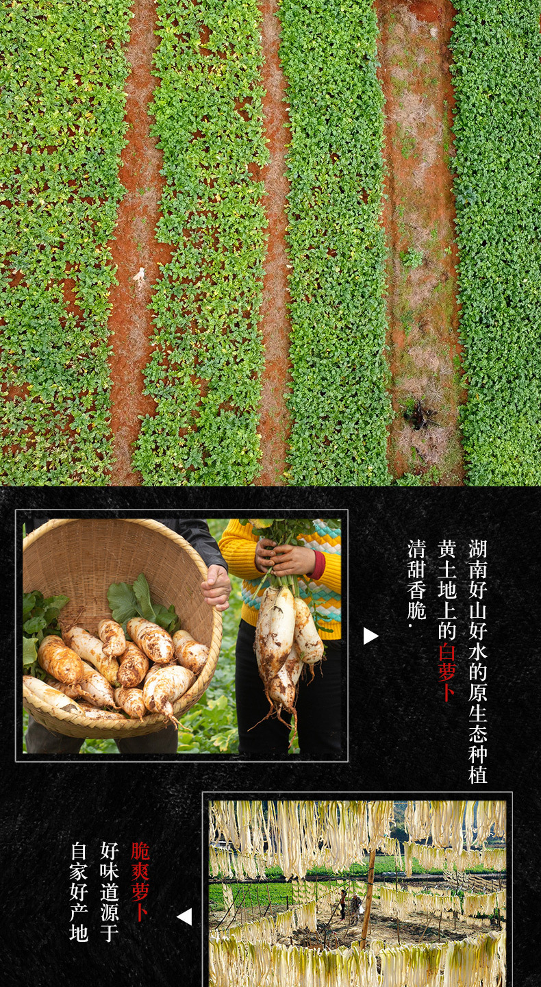 剁椒蘿卜_03.jpg