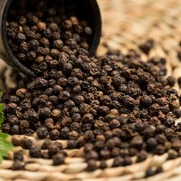 廠家供應批發(fā)黑胡椒 餐飲調味品香辛料 西餐牛排燒烤披薩調味品