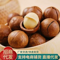 夏威夷果薄皮堅果批發(fā)100g代發(fā) 奶香堅果零食干果薄殼夏威夷果仁