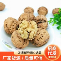 云南103紙皮生核桃批發(fā)手剝薄皮核桃堅果一件代發(fā)