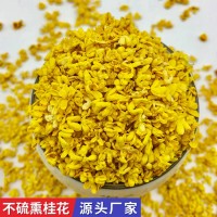 源頭廠(chǎng)家廣西桂林桂花散裝批發(fā)干桂花茶量大從優(yōu)金桂花茶 桂花干花