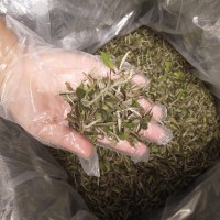 福鼎白茶陳年老白茶棗香壽眉貢眉白牡丹茶葉批發(fā)2020年頭牡