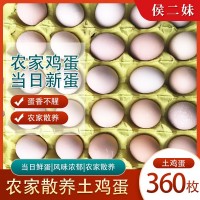 土雞蛋360枚農(nóng)家散養(yǎng)雞蛋農(nóng)家散養(yǎng)土雞蛋新鮮草雞蛋柴雞蛋