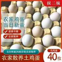 烏雞蛋40枚農(nóng)家散養(yǎng)雞蛋農(nóng)家散養(yǎng)土雞蛋新鮮草雞蛋柴雞蛋