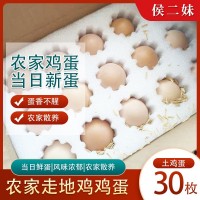 土雞蛋30枚農(nóng)家散養(yǎng)雞蛋農(nóng)家散養(yǎng)土雞蛋新鮮草雞蛋柴雞蛋
