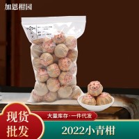 2022小青柑500g 新會特產(chǎn)特級陳皮普洱茶柑普茶散裝年貨廠家批發(fā)