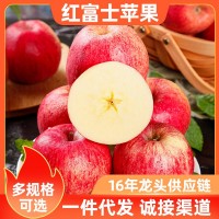 【禮盒/果規(guī)加工定制】甘肅紅富士蘋(píng)果