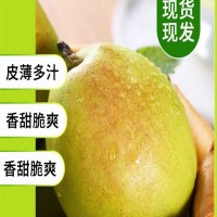 新疆庫(kù)爾勒香梨皮薄肉厚脆嫩爽口當(dāng)季新鮮水果整箱包郵