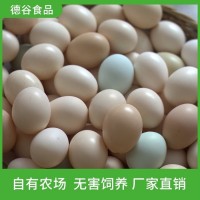 德谷食品 供應(yīng)農(nóng)家五谷蛋 飯店用 營養(yǎng)豐富 基地直發(fā)