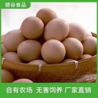 德谷食品_農(nóng)家草雞蛋禮盒_營養(yǎng)價(jià)值高_(dá)廠家直供
