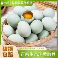 竹林蛋九華山新鮮散養(yǎng)烏雞蛋 30枚/1350g 廠家直發(fā)