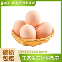 竹林蛋九華山農(nóng)家散養(yǎng)土雞蛋50枚/2250g 現(xiàn)撿現(xiàn)發(fā)