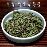 普洱茶 生茶 勐庫(kù)大雪山 紫芽苞 明前春茶 散茶