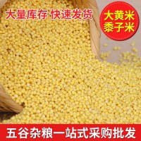 批發(fā)大黃米 黍子米 東北大黃米 粽子 糕點 食品原料大黃米