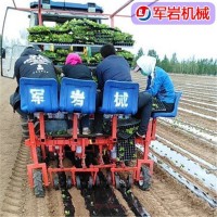 軍巖機(jī)械 西蘭花移栽機(jī) 白菜移栽機(jī) 娃娃菜種植機(jī) 青州蔬菜移栽機(jī)