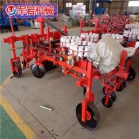 軍巖 辣椒移栽機(jī) 使用方便 蔬菜種植機(jī)械 支持定制