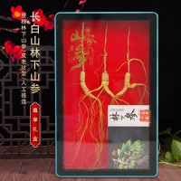 長白山林下山參10g3支裝10年以上整枝林下山參禮盒滋補(bǔ)品干參送禮
