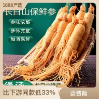 東北特產(chǎn)吉林長白山人參 保鮮人參廠家批發(fā)新鮮人參批發(fā)多規(guī)格