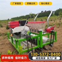 小型香菜精播機(jī)電動(dòng)白菜菠菜芹菜點(diǎn)播機(jī) 汽油手推式蔬菜播種機(jī)