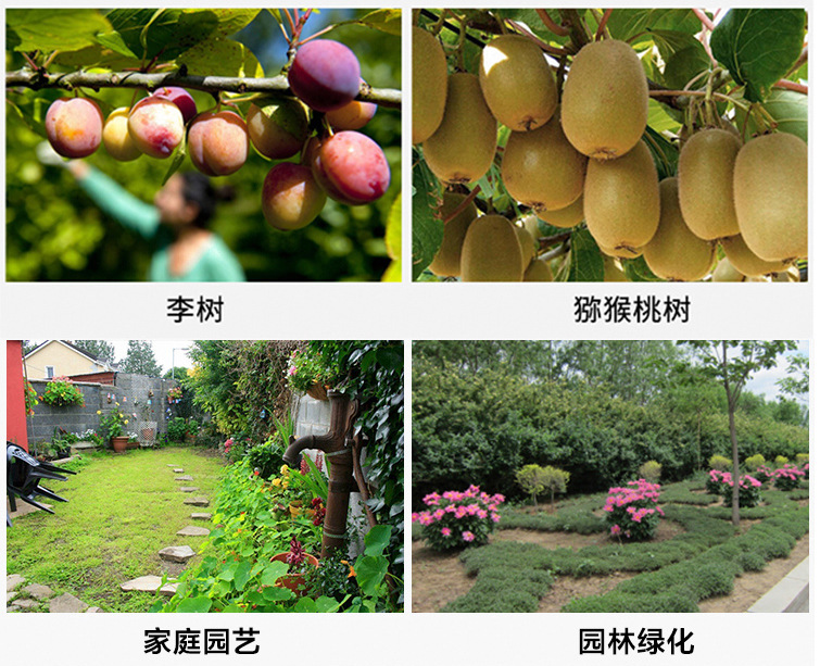 微信圖片_20190911144303