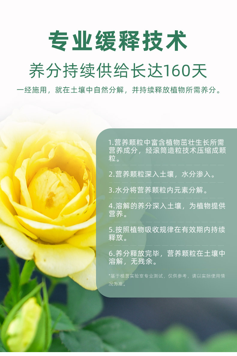 花彩控釋顆粒_06