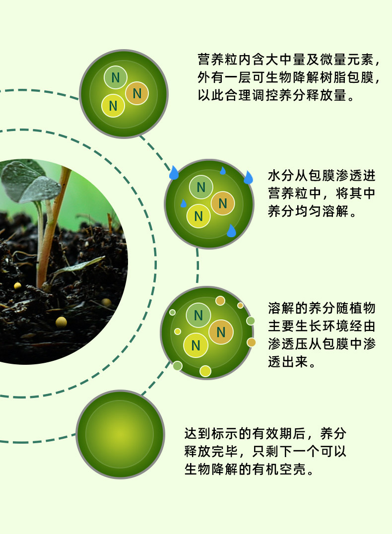 花彩控釋顆粒_09