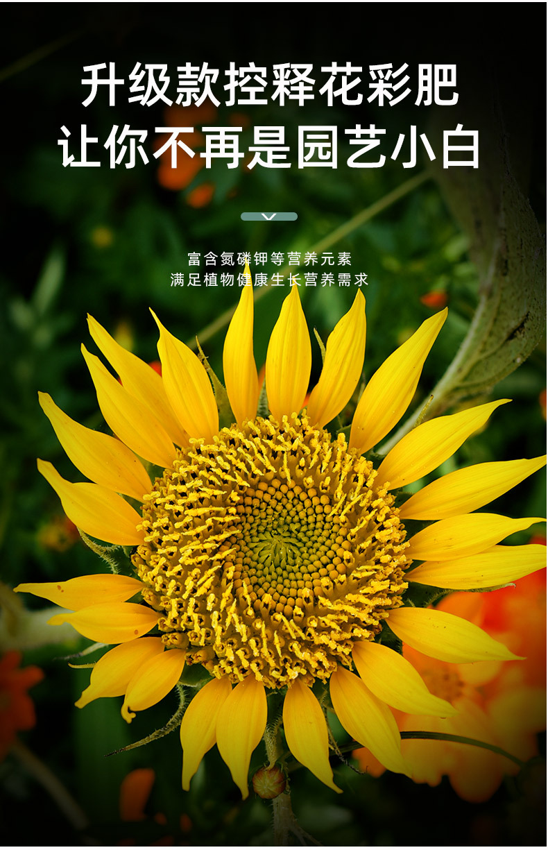 花彩控釋顆粒_03