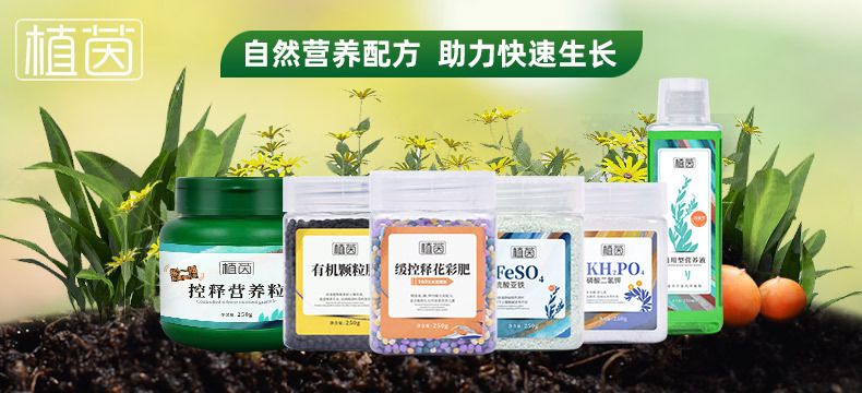 a詳情頂端
