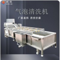 廠家定制小型果蔬氣泡清洗機(jī) 預(yù)制菜中央廚房清洗設(shè)備 中藥清洗機(jī)