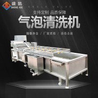 中藥材氣泡清洗機(jī)凈菜加工設(shè)備水果蔬菜辣椒清洗 萬能氣泡清洗機(jī)