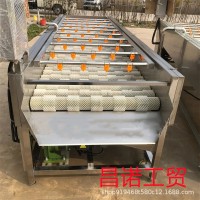 柚子毛輥清洗去雜機 馬鈴薯清洗去皮設(shè)備 洋芋平行清洗生產(chǎn)線