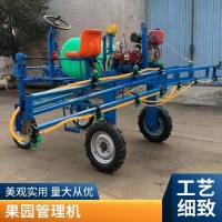 宏源機(jī)械 小麥玉米三輪打藥機(jī) 節(jié)水省藥雙發(fā)動(dòng)機(jī)噴霧消毒器