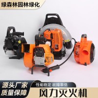 廠家直供風(fēng)力滅火機大功率風(fēng)力沖程背負(fù)式大棚吹雪除塵風(fēng)機滅火器