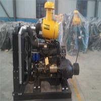常柴常發(fā)195 1100 1105 1110 1115 L24 28水冷單缸柴油機(jī)柱塞