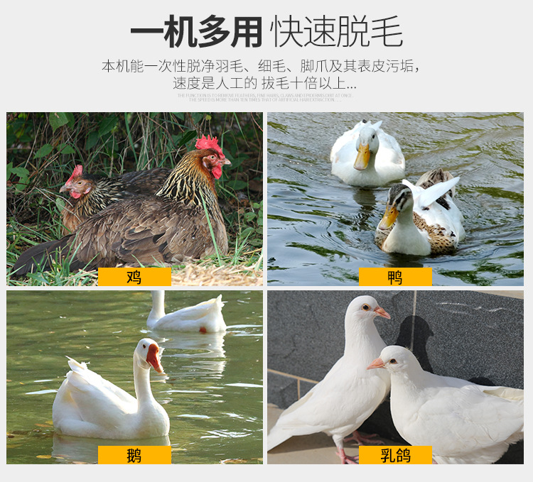 脫毛機(jī)_05.jpg