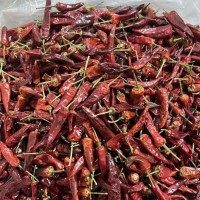 正宗福建辣椒王 香辣耐煮特辣干辣椒 鹵味專用