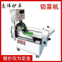 志偉妙卓多功能切菜機(jī) 廠家直銷ZW-801C全自動(dòng)切菜機(jī)，雙頭切菜機(jī)