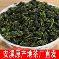 秋茶烏龍茶高山安溪鐵觀音消拖茶葉散裝茶廠批發(fā)濃香（70）