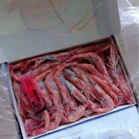 俄羅斯超低溫甜蝦，壽司蝦，刺身日本料理