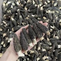 羊肚菌干貨特產(chǎn)批發(fā)5-8頭小個(gè)羊肚菌菇燉煲湯 云南野生羊肚菌批發(fā)