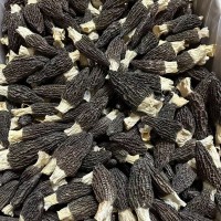 高山云南羊肚菌干貨 剪柄羊肚菌足干貨食用煲湯滋補(bǔ)菌類(lèi) 一件代發(fā)