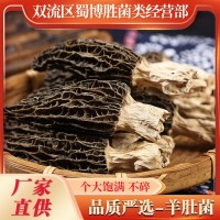 干羊肚菌批發(fā)代發(fā)煲湯食材羊肚菌菌菇干貨菌菇散貨羊肚菌量大從優(yōu)