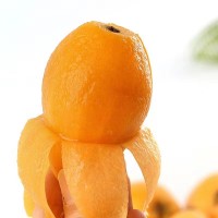 [順豐發(fā)貨]四川米易枇杷果新鮮采摘高山水果應季琵琶果一件代發(fā)
