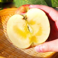 新疆阿克蘇蘋果 代發(fā)3/8斤新鮮應季水果冰糖心脆甜紅富士蘋果