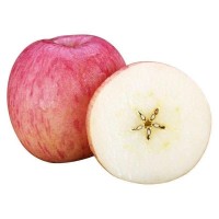 陜西洛川高山紅富士蘋果當季新鮮孕婦水果脆甜10斤產(chǎn)地 整箱批發(fā)