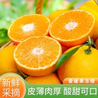 橙子四川愛(ài)媛橙38號(hào)果凍橙當(dāng)季薄皮現(xiàn)摘新鮮水果橙手剝橙批發(fā)整箱