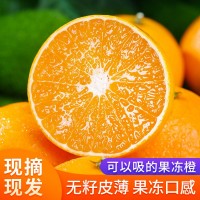 四川愛(ài)媛38號(hào)果凍橙新鮮采摘當(dāng)季橙子薄皮爆汁水果愛(ài)媛橙子果凍橙