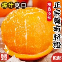 贛南臍橙新鮮橙子水果批發(fā)應(yīng)季特大精品禮盒橙子5斤10斤禮盒裝